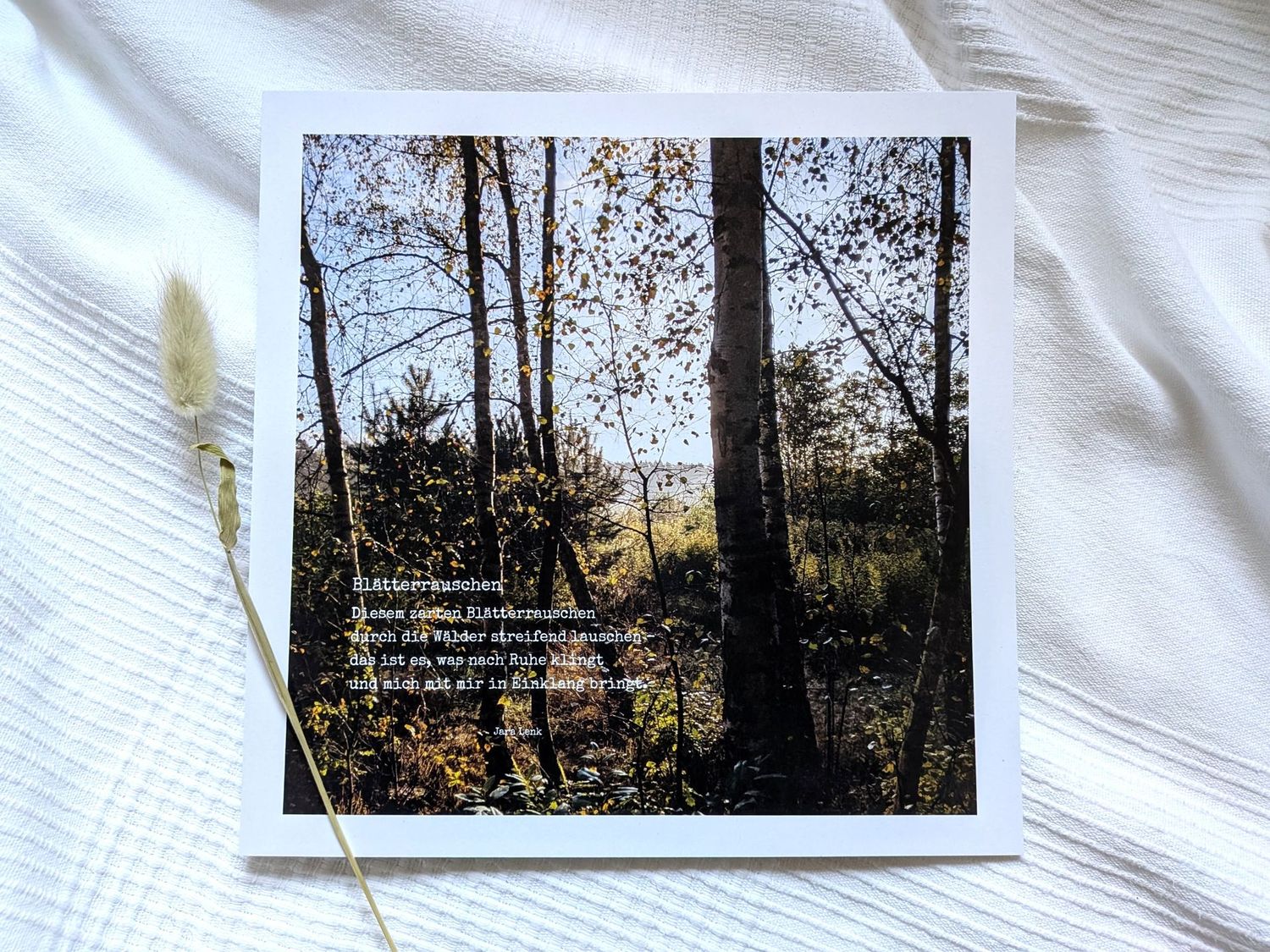 Bild 'Blätterrauschen' 25 x 25 cm