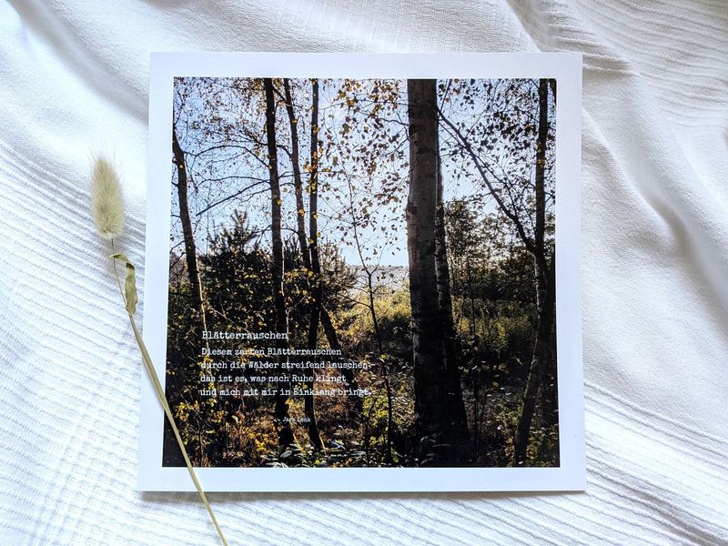 Bild 'Blätterrauschen' 25 x 25 cm Bild 'Blätterrauschen' 25 x 25 cm