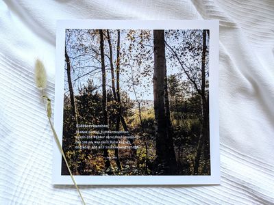 Bild 'Blätterrauschen' 25 x 25 cm