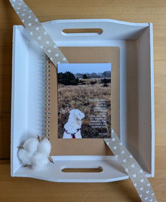 Karte (Naturfoto) 'Nenne es nicht suchen'