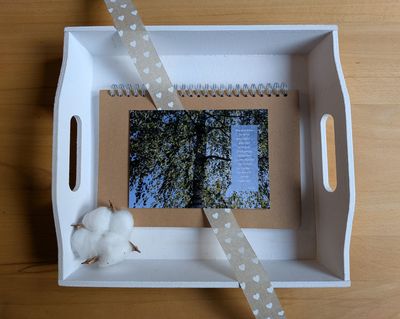 Karte (Naturfoto) 'Birke'