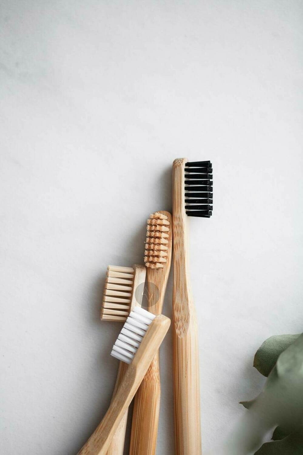 1 Bamboo Toothbrush SAMPLE