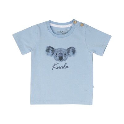 T-Shirt in hellblau mit Koalaaufdruck