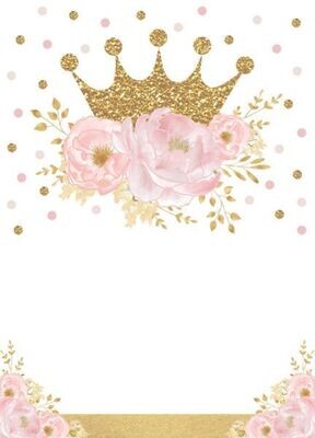 PRINCESS SCHOKOBOX