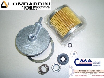 Kit filtro nafta con supporto Lombardini Goldoni 14HP