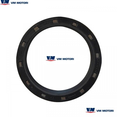 Paraolio albero motore VM 67x85x10 SX