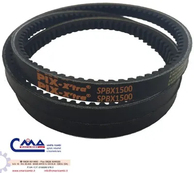 Cinghia dentata per trincia SPBX1500 XPB1500 Cinghia dentata per trincia SPBX1500 XPB1500