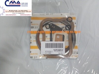 Serie Guarnizioni Smeriglio - Lamborghini - Same - diametro 100 mm - 0.072.0057.6