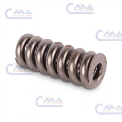 Molla sollevatore - sforzo controllato - Goldoni - 00033855 Molla sollevatore - sforzo controllato - Goldoni - 00033855