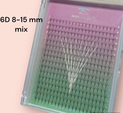 Promade fans in boxes 6D, 10D and 12D