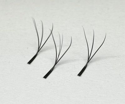 RZ Lash Double W (6D) lashes