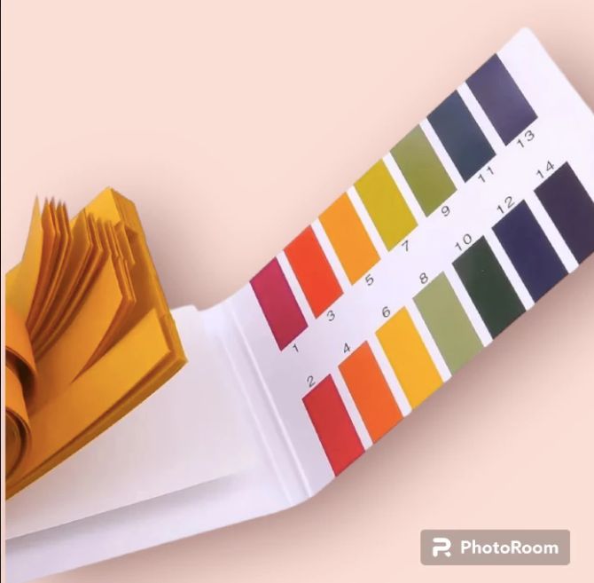 PH measuring strips