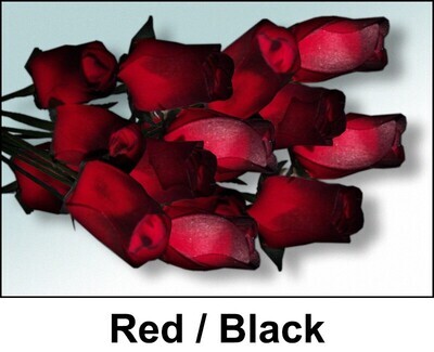 1 Dozen Red/Black Roses