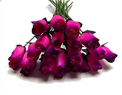 1 Dozen Hot Pink/Purple Roses