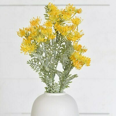 Yellow fennel flower