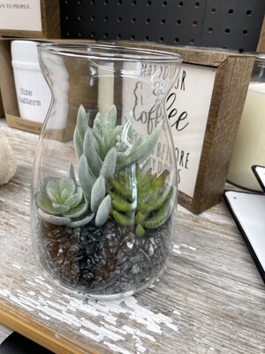 Succulent in Jar