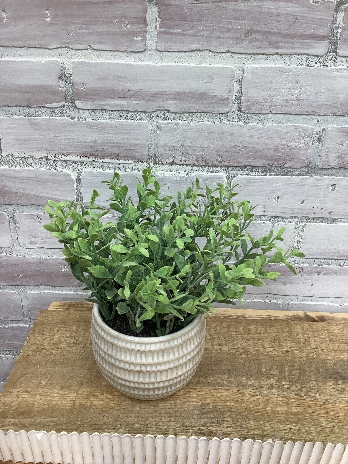 Baby leaves-ceramic pot