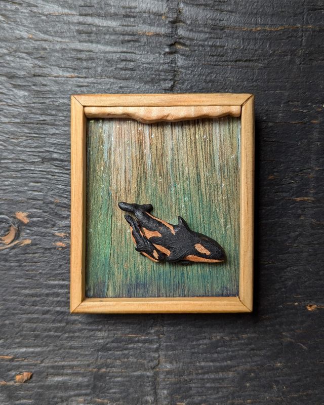 Mini Orcas
