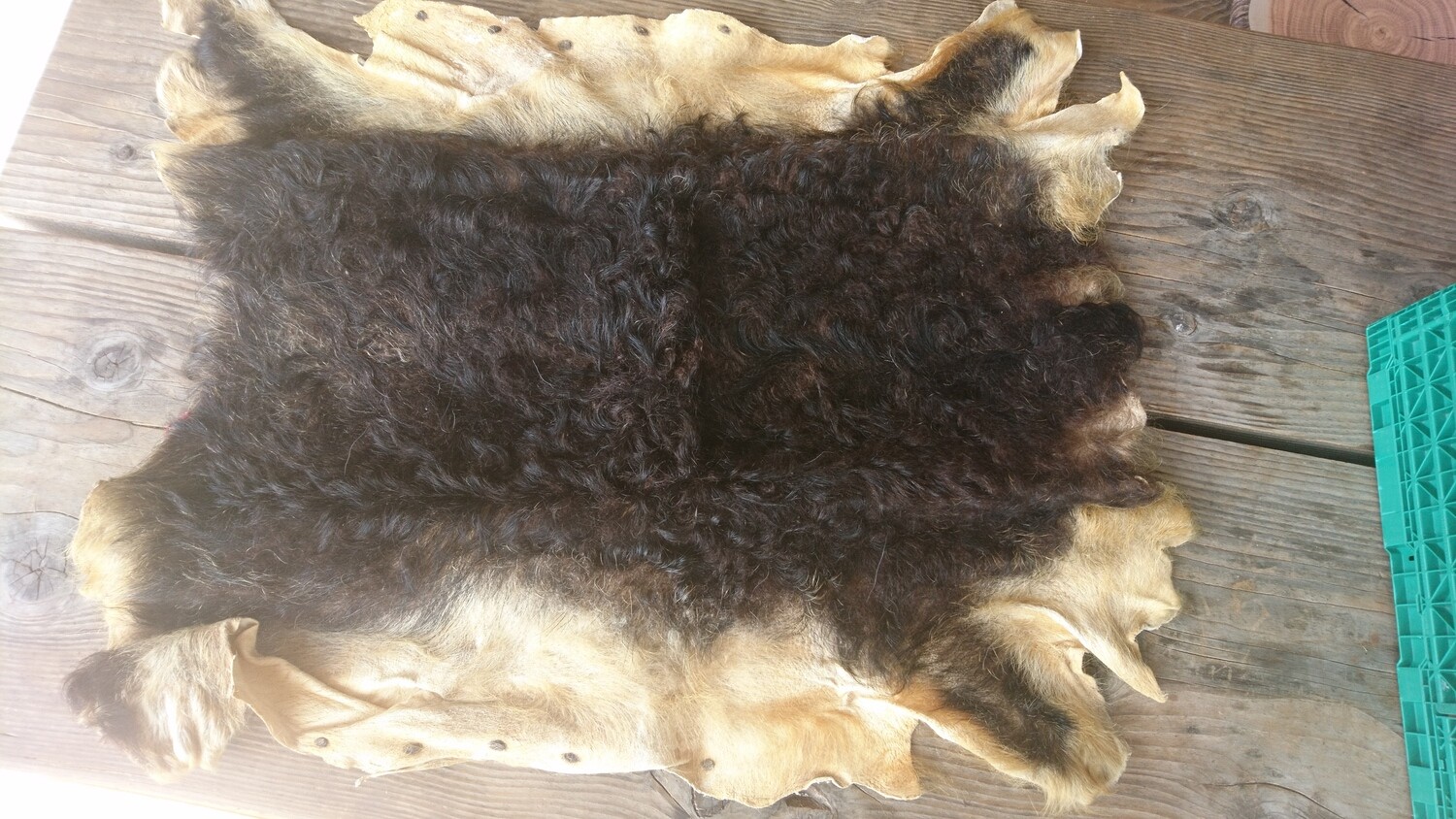 Wollschweinfell