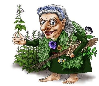 Die kleine Kräuterhexe