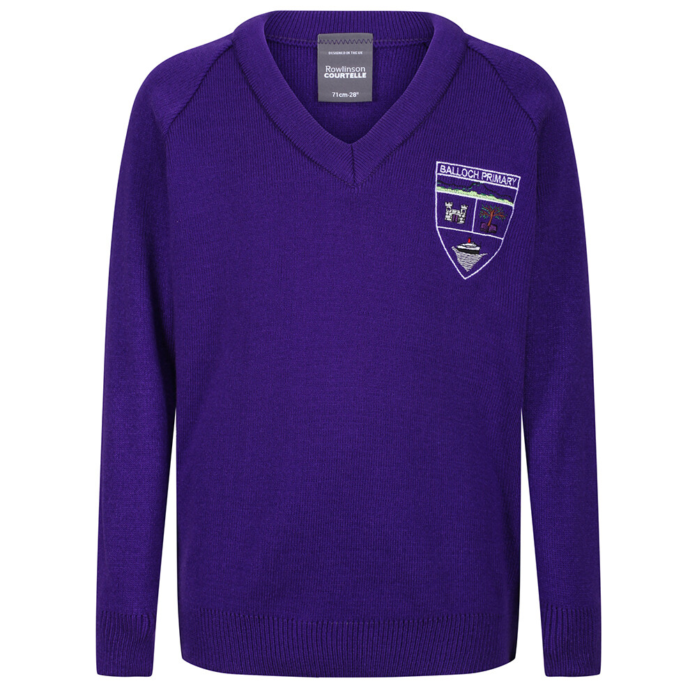 Balloch Primary Knitted V-Neck in Purple
