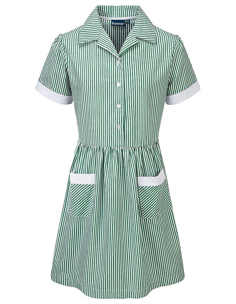 Wardie Primary Summer Dress (In green) (RCSSCKKinsale)