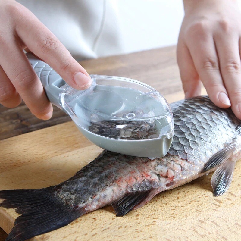Grattoir manuel de poisson