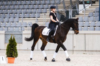 SADDLERY