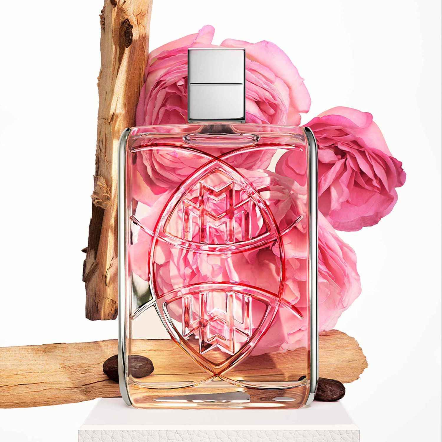 CHARISMATIC ROSE