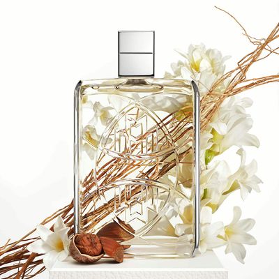 VIBRANT TUBEROSE