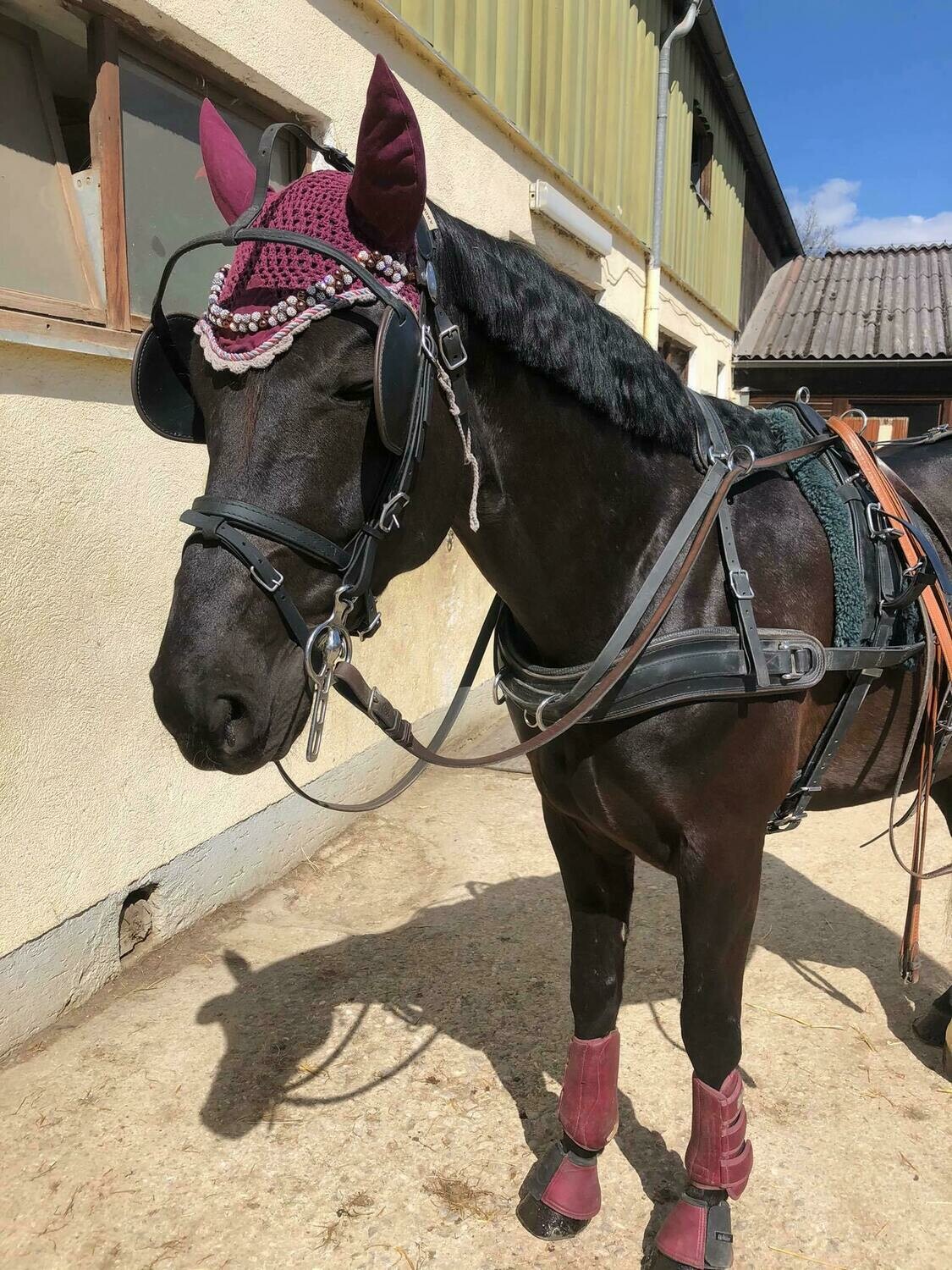 Shamballa - Stirnriemen Fahrzaum mehrfarbig