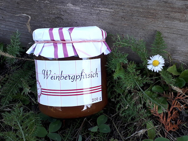 Weinbergpfirsich