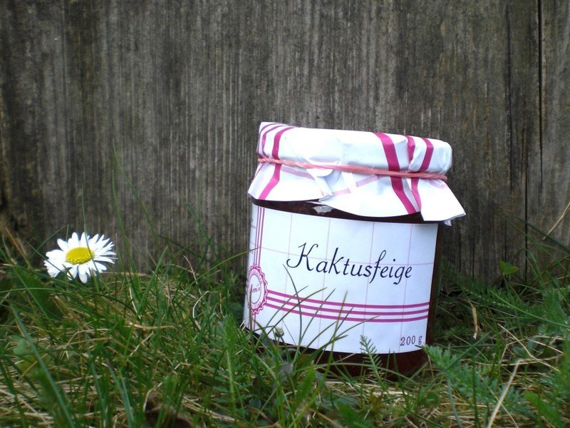 Kaktusfeige Fruchtaufstrich