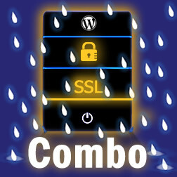 SSL Hosting & Maintenance (10 Hours) Combo