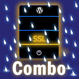 SSL Hosting & Maintenance (10 Hours) Combo SSL Hosting & Maintenance (10 Hours) Combo