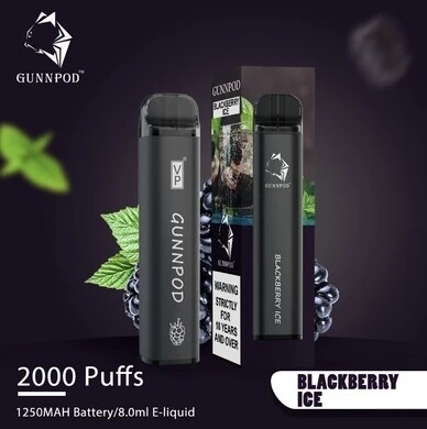 Gunnpod 2000 - BlackBerry Ice
