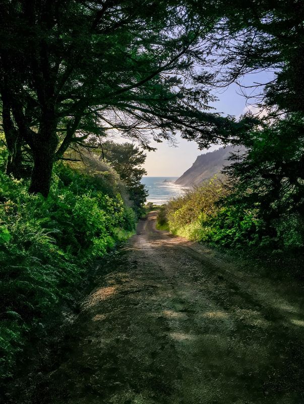 Usal Road, Lost Coast