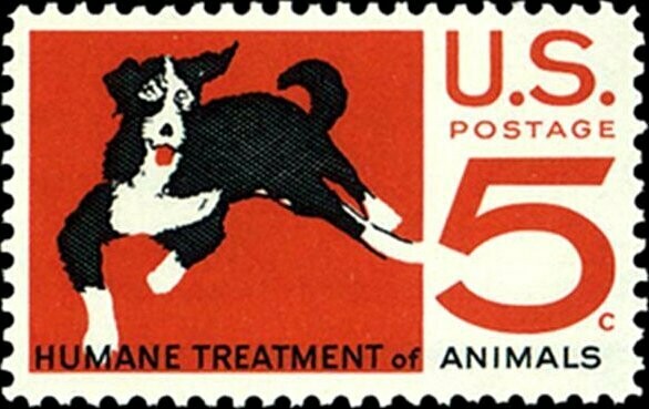 Francobollo - Stati Uniti -Dog (Canis lupus familiaris) 5 C - 1966 -  Usato