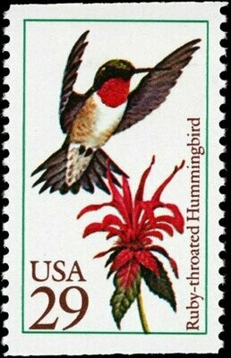 Francobollo - Stati Uniti -Ruby-throated Hummingbird (Archilochus colubris) 29 C - 1992 - Usato