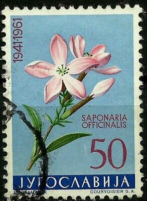 Francobollo - Yugoslavia - Saponaria Officinalis - 50 D - 1961