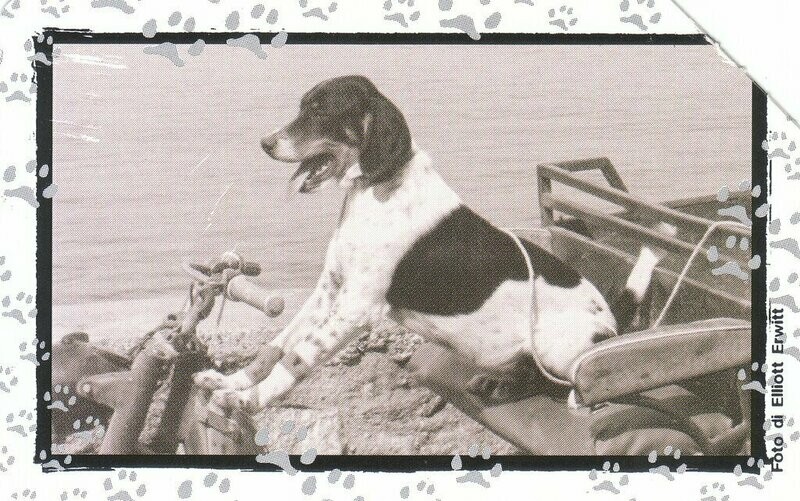 carte telefoniche - Al Mio Cane Manca... - Freddie -italia da L.10000/€5,16   Usata