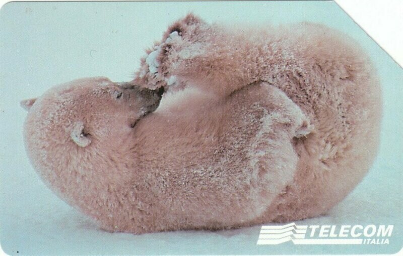 carte telefoniche - Animali per modo di dire - L'orso -italia da L.5000 Mantegazza -Usata