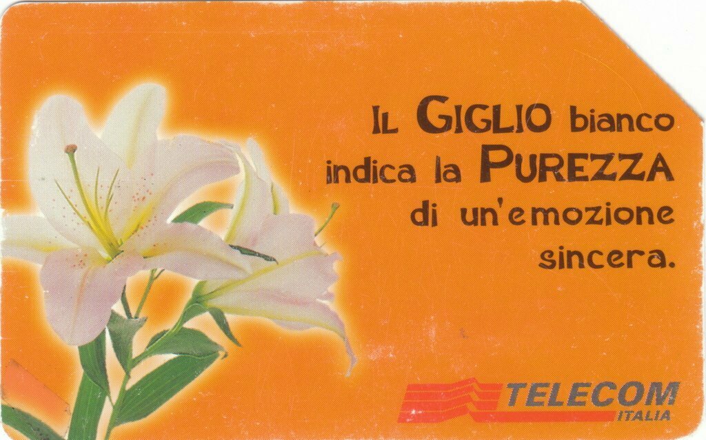 carte telefoniche - Messaggi Floreali - Giglio -italia da L.5000 Publicenter S.p.A. (catalogo) C&C:F3021, Gol:935 Usata