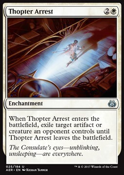 Carta MTG-Arresto dei Totteri-AER