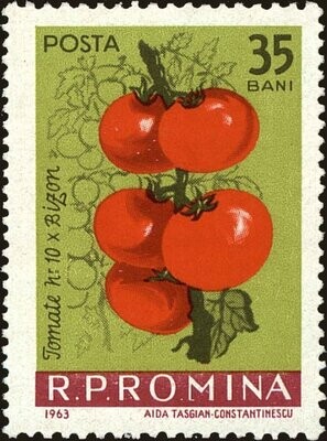Francobollo - Romania - Tomatoes (Lycopersicon esculentum) - 35 Bani - 1963 - Usato