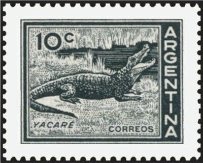 Francobollo - Argentina - Caiman (Caiman sp.) - 10 C - 1959 - Usato