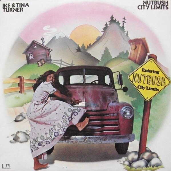 Ike & Tina Turner ‎– Nutbush City Limits