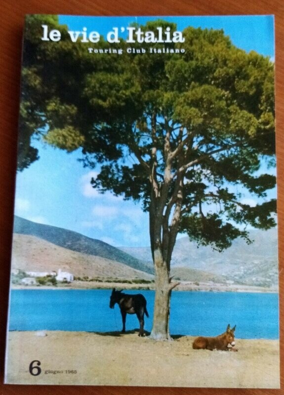 Le vie d'Italia anno LXXI N.6 del 1965