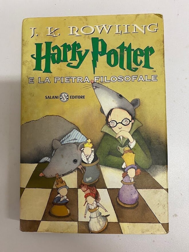 Harry Potter E LA PIETRA FILOSOFALE - SALANI EDITORE - J.K. ROWLING