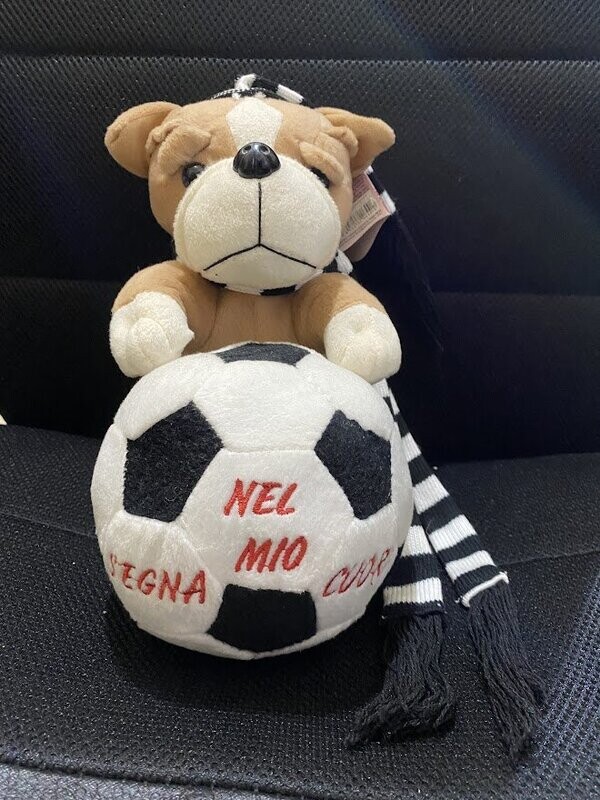 pelouche orsacchiotto juventus  - storie di cuore